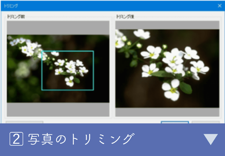 写真のトリミング